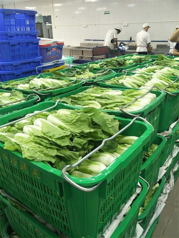 學(xué)校食堂蔬菜配送